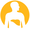 Hepatitis C screening icon